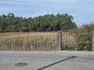 Acheter Terrain VIEIRA-DO-MINHO r�gion BRAGA