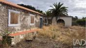 Annonce Vente Local commercial PORTO-SANTO