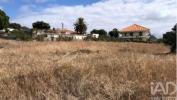 Acheter Local commercial 4766 m2 PORTO-SANTO