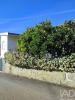 Annonce Vente Maison OLIVEIRA-DO-HOSPITAL