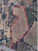 Annonce Vente Terrain SAO-BRAS-DE-ALPORTEL