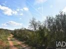 Acheter Terrain 15360 m2 FERREIRA-DO-ZEZERE