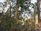 Acheter Terrain FERREIRA-DO-ZEZERE r�gion SANTAREM