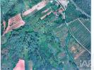 Annonce Vente Terrain CALDAS-DA-RAINHA