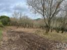 Annonce Vente Terrain SINTRA