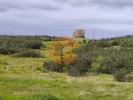 Acheter Terrain CASTRO-MARIM r�gion FARO