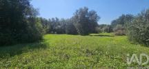 Annonce Vente Terrain LOULE