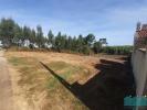 Acheter Terrain 927 m2 AVEIRO