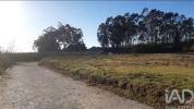 Acheter Terrain 10160 m2 PENAFIEL