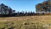 Acheter Terrain PENAFIEL r�gion PORTO