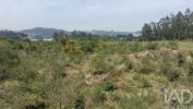 Acheter Terrain 9200 m2 PAREDES