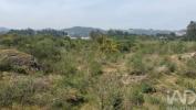 Acheter Terrain PAREDES r�gion AVEIRO