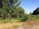Acheter Terrain 19382 m2 VILA-NOVA-DE-GAIA