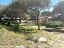 Acheter Terrain LOULE r�gion FARO
