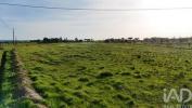 Acheter Terrain OURIQUE r�gion BEJA
