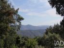 Annonce Vente Terrain OLIVEIRA-DO-HOSPITAL