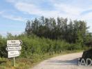 Acheter Terrain 5300 m2 OLIVEIRA-DO-HOSPITAL