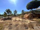 Acheter Terrain LOULE r�gion FARO