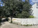 Acheter Maison LOULE r�gion FARO