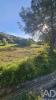 Annonce Vente Terrain LOULE
