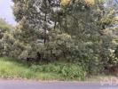 Annonce Vente Terrain SANTA-CRUZ