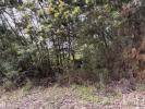Acheter Terrain SANTA-CRUZ r�gion LISBOA