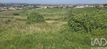 Acheter Terrain CADAVAL r�gion LISBOA
