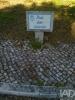 Acheter Terrain 645 m2 SETUBAL