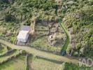 Annonce Vente Terrain SANTA-CRUZ-DA-GRACIOSA