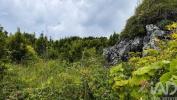 Acheter Terrain SANTA-CRUZ-DA-GRACIOSA r�gion ACORES