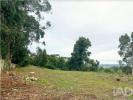 Acheter Terrain 8385 m2 SINTRA