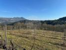 Acheter Terrain CABECEIRAS-DE-BASTO r�gion BRAGA