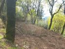 Vente Terrain TERRAS-DE-BOURO 4840
