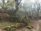 Acheter Terrain TERRAS-DE-BOURO