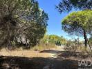 Annonce Vente Terrain LOULE