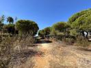 Acheter Terrain 960 m2 LOULE