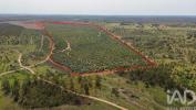 Annonce Vente Terrain ABRANTES