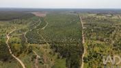 Acheter Terrain 32767 m2 ABRANTES