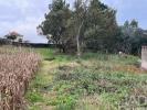 Annonce Vente Terrain ESPOSENDE