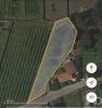 Acheter Terrain 1060 m2 ESPOSENDE