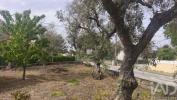 Acheter Maison OLIVEIRA-DO-HOSPITAL r�gion COIMBRA