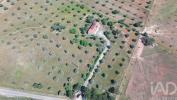 Acheter Maison 100 m2 AVIS