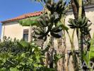 Acheter Maison 193 m2 ESPOSENDE