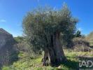 Acheter Maison SANTAREM r�gion SANTAREM