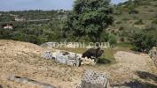 Acheter Maison CABECEIRAS-DE-BASTO r�gion BRAGA