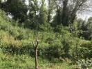 Acheter Local commercial COIMBRA r�gion LEIRIA