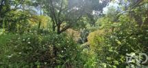 Acheter Terrain MAFRA r�gion LISBOA