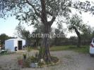 Vente Terrain LOULE 8100