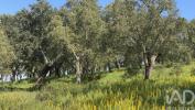 Vente Terrain PONTE-DE-SOR 7400