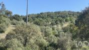 Acheter Terrain 32767 m2 PONTE-DE-SOR